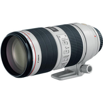 Canon EF 70-200mm f/2.8